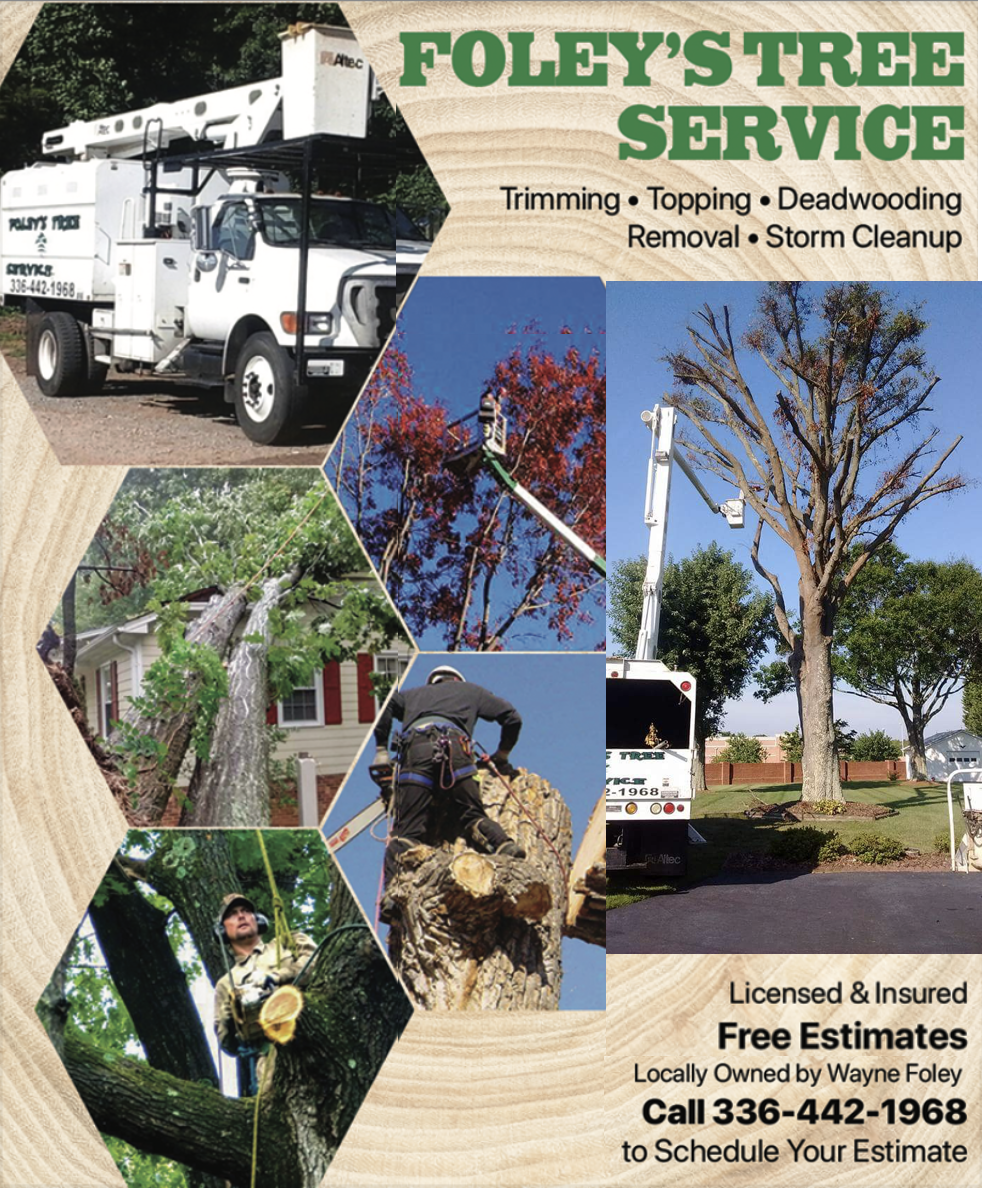Foley’s Tree Service